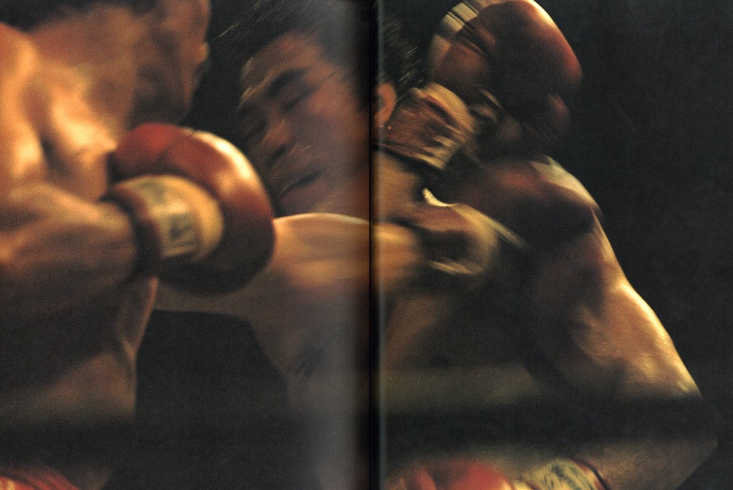 篠山紀信 晴れた日 / 篠山紀信 | 小宮山書店 KOMIYAMA TOKYO | 神保町