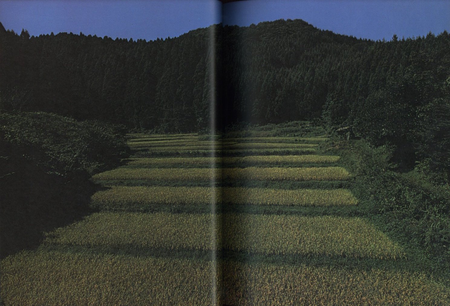 篠山紀信 晴れた日 / 篠山紀信 | 小宮山書店 KOMIYAMA TOKYO | 神保町