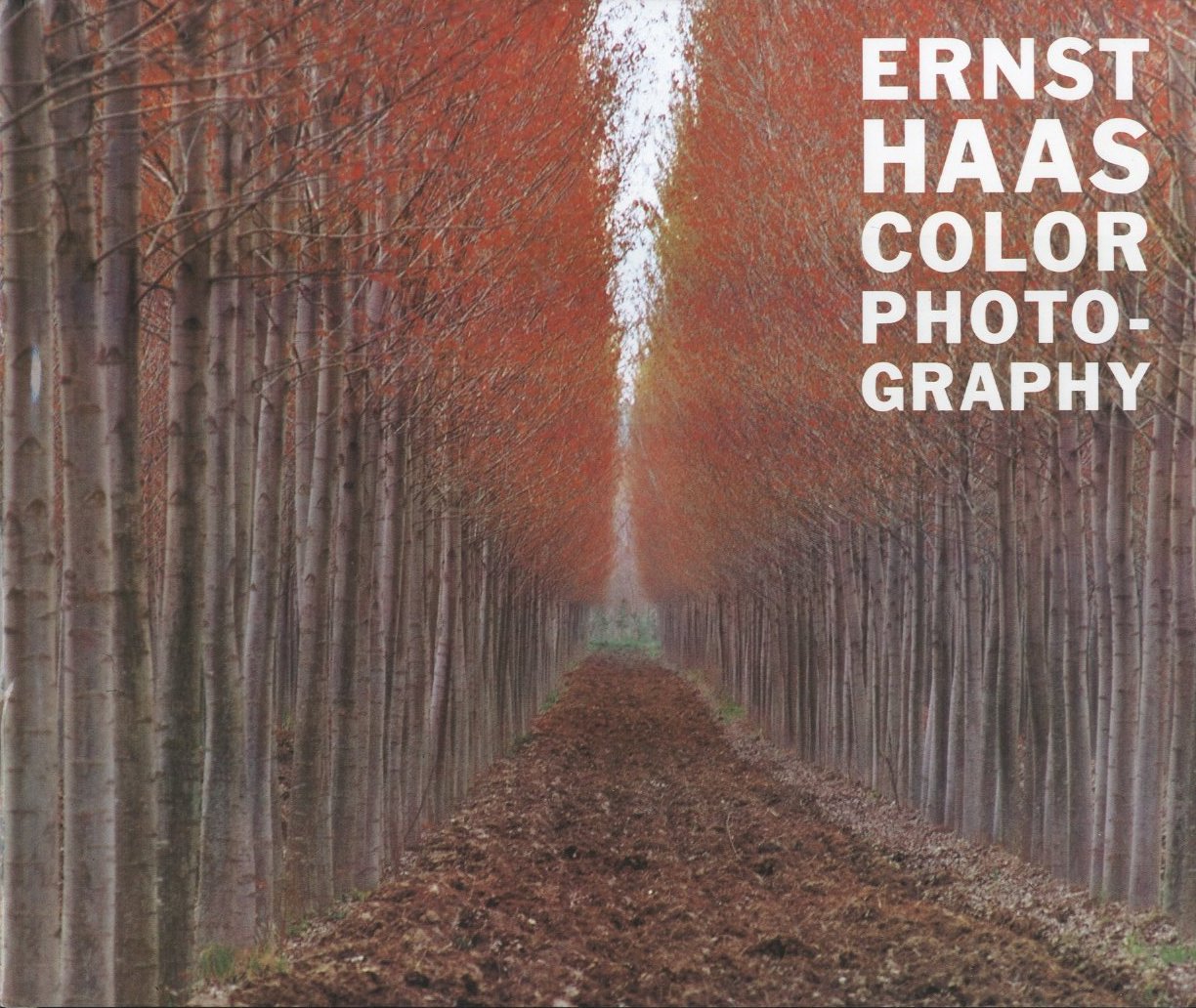 COLOR PHOTOGRAPHY / Ernst Haas | 小宮山書店 KOMIYAMA TOKYO