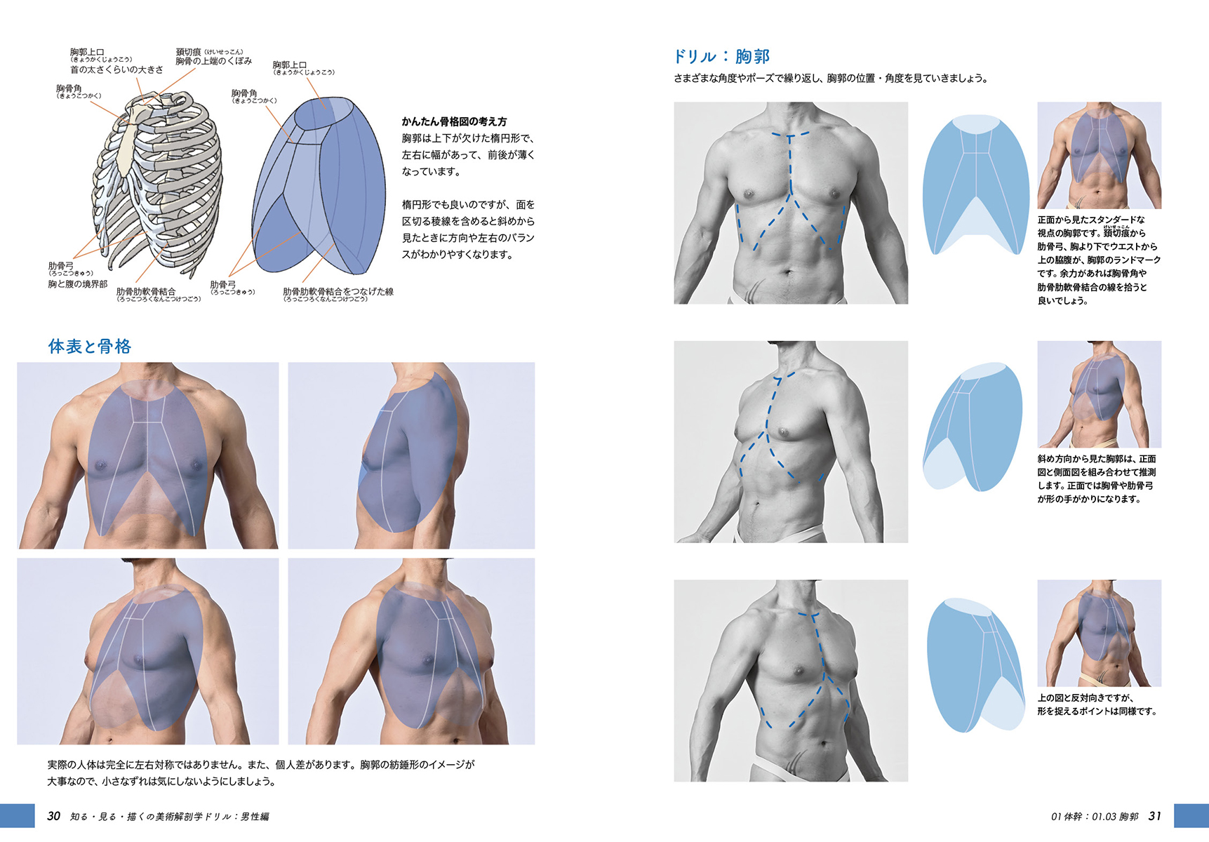 知る・見る・描くの美術解剖学ドリル | 株式会社ボーンデジタル