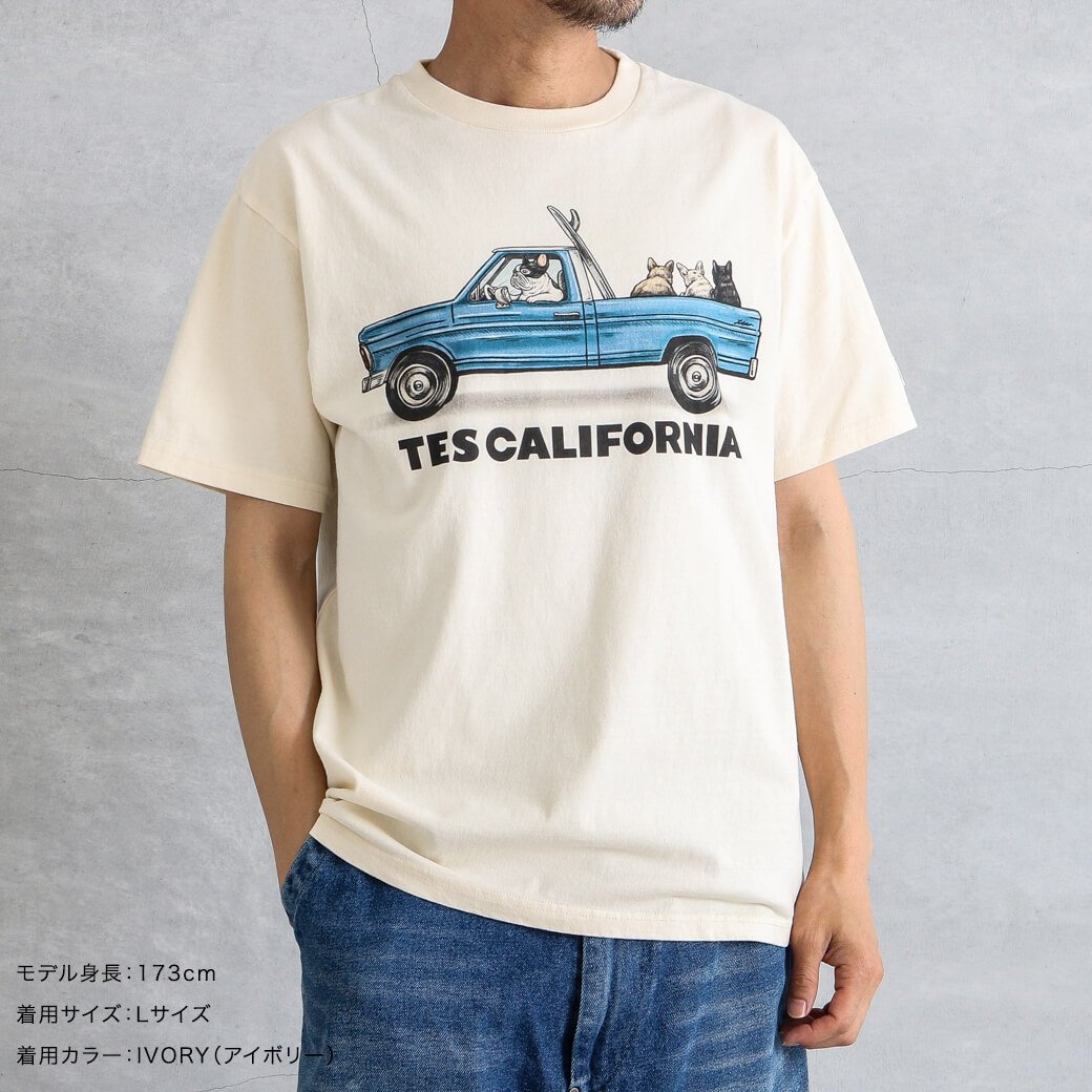 THE ENDLESS SUMMER テス 4ブヒ サーフ トラック T シャツ｜BORN FREE