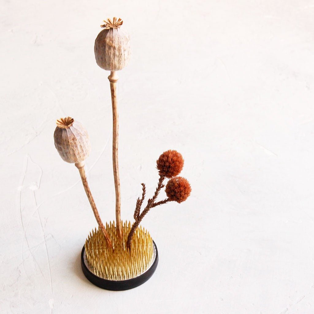 Niwaki Kenzan Frog | Boston General Store