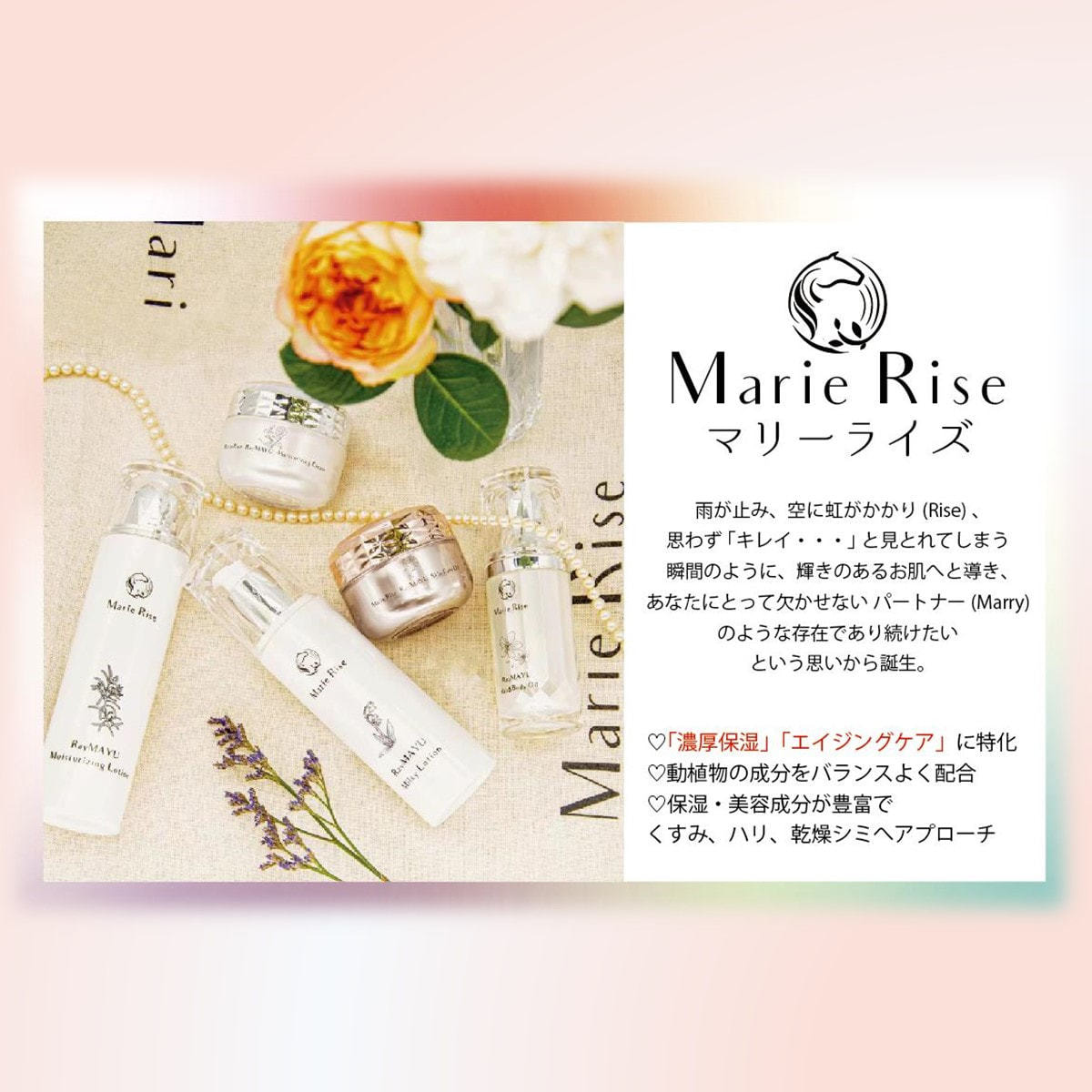 Marie Rise マリーライズ五件セット