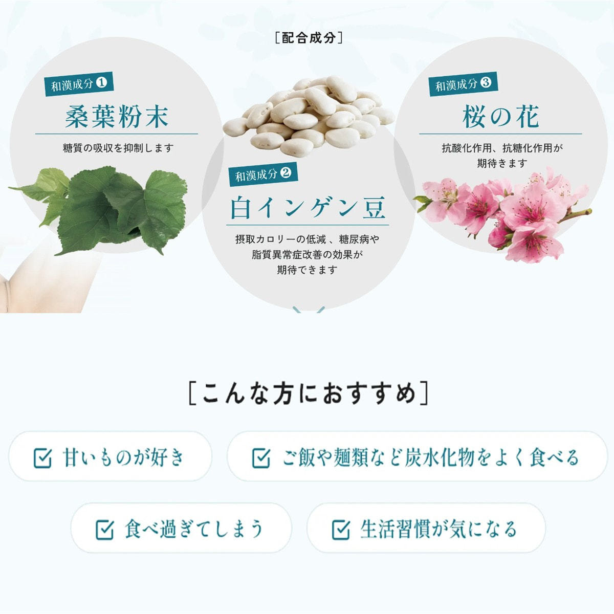 スリムレイ カッティー 15g×30包 48箱セットの卸・通販 | ビューティ