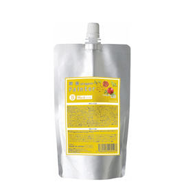 輝髪 ザクロペインターB ノーマル 200mlの卸・通販 | ビューティガレージ