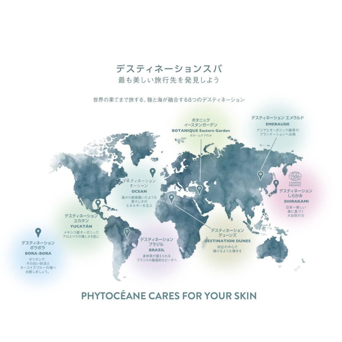 フィトオセアン クレンジングミルク 250ml【店販用】の卸・通販