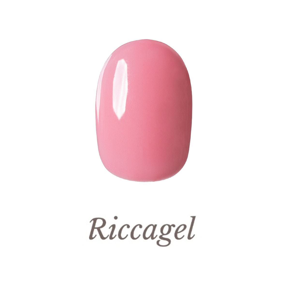 リッカジェル カラージェル 048MS 3gの卸・通販 | ビューティガレージ