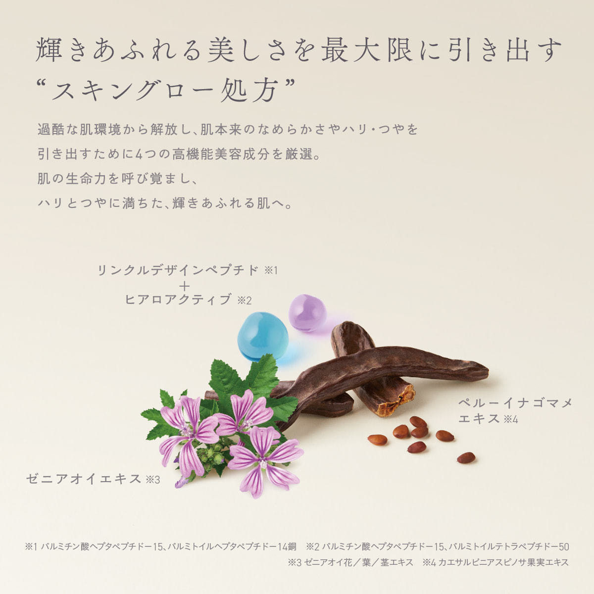 セフィーヌ フォーサロンズ ザ・ローション 120mlの卸・通販