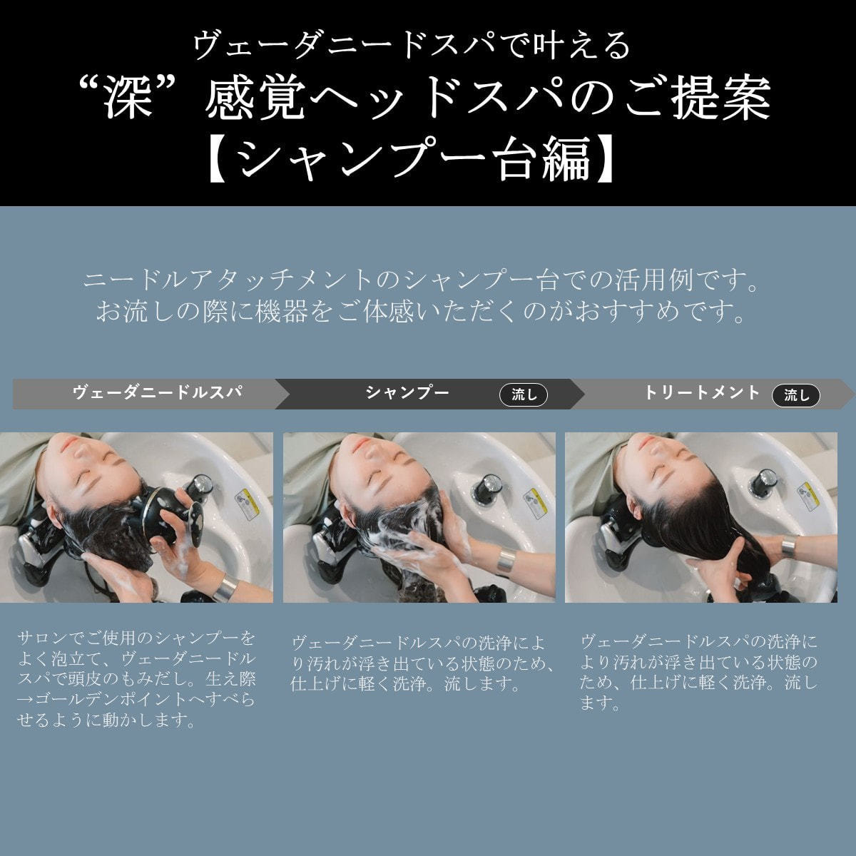 ヴェーダニードルスパ BS for Salon≪スキャルプ＆リフトケア≫の卸