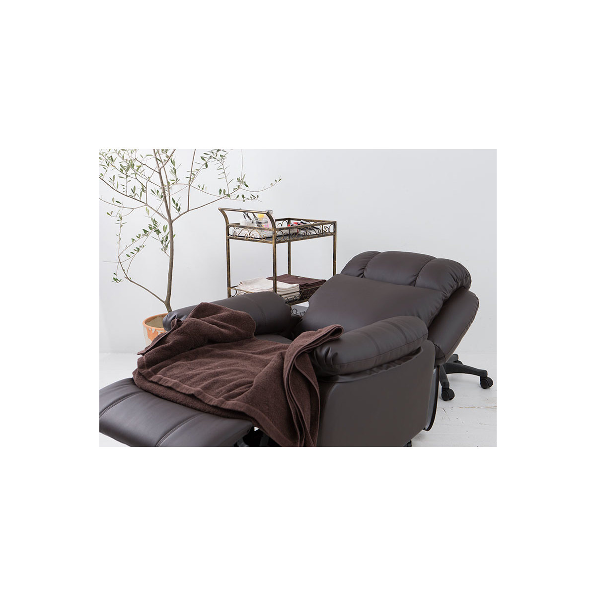 電動ラウンジチェア SHIFFON Jr （シフォンジュニア）（ホワイト）の卸