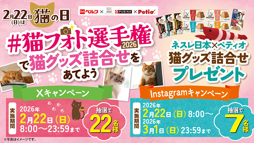 2月22日は#猫の日！#猫フォト選手権2026で猫グッズ詰合せをあてようSNS
