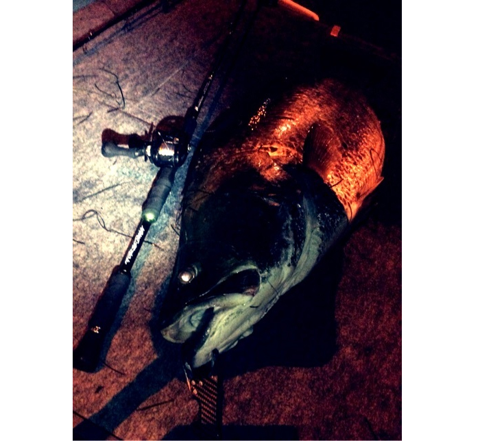 スタジオコンポジット×DRT フォー・ザ・ビースト FTB78XXH 8パワー