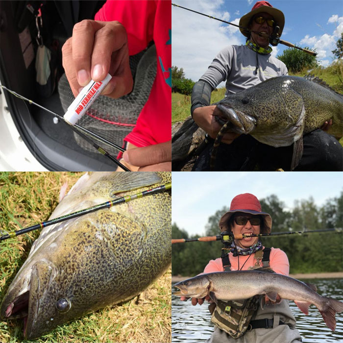 フィンチ カナリア 68ML （パックロッド ベイト） - 【バス・トラウト