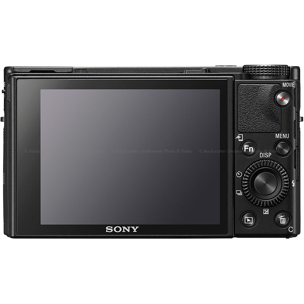 Sony Cyber-Shot RX100 VII Compact Camera