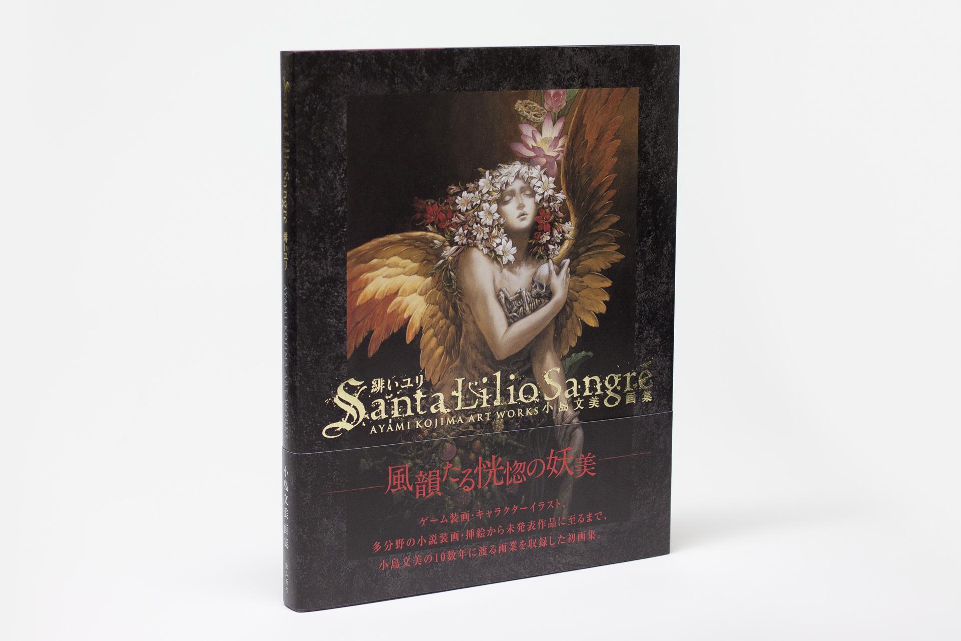 小島文美画集 『Santa Lilio Sangre 緋いユリ』 | デザイナー｜アート