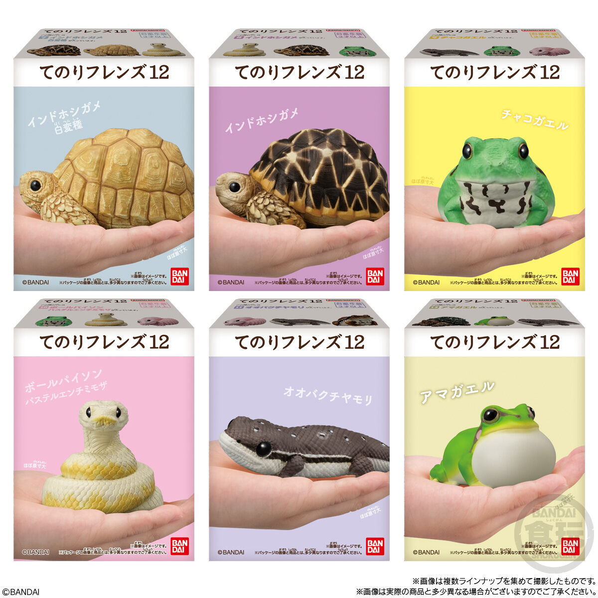 てのりフレンズ12｜発売日：2025年10月20日｜バンダイ キャンディ公式