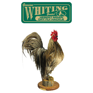 Whiting Farms Coq De Leon Saddle | ホワイティング・ファーム コック