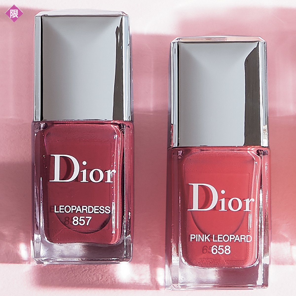 ディオール］ディオール ヴェルニ［2023年 1月発売］ | 美的.com