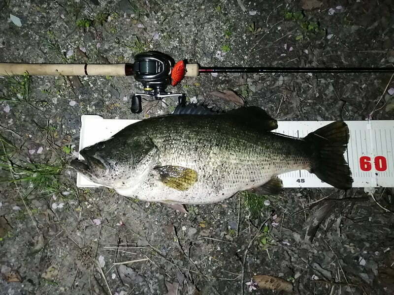 シマノ20スコーピオン 1752R-2 2ピースモデル | 琵琶湖おかっぱりポイント