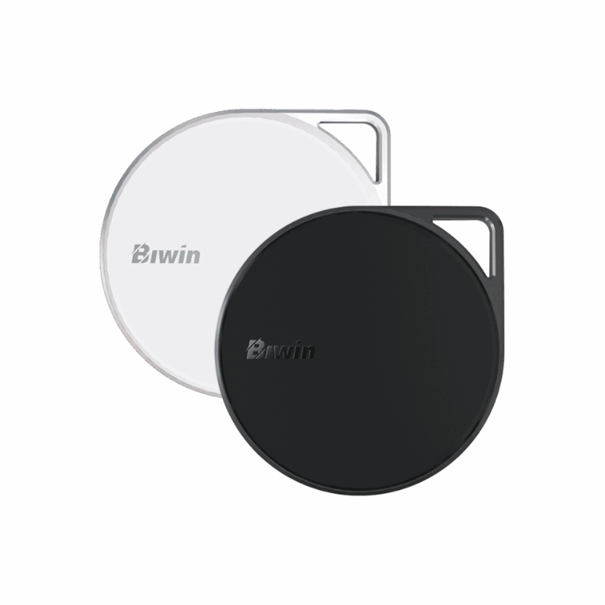 1-biwin-amber-pm2000-portable-