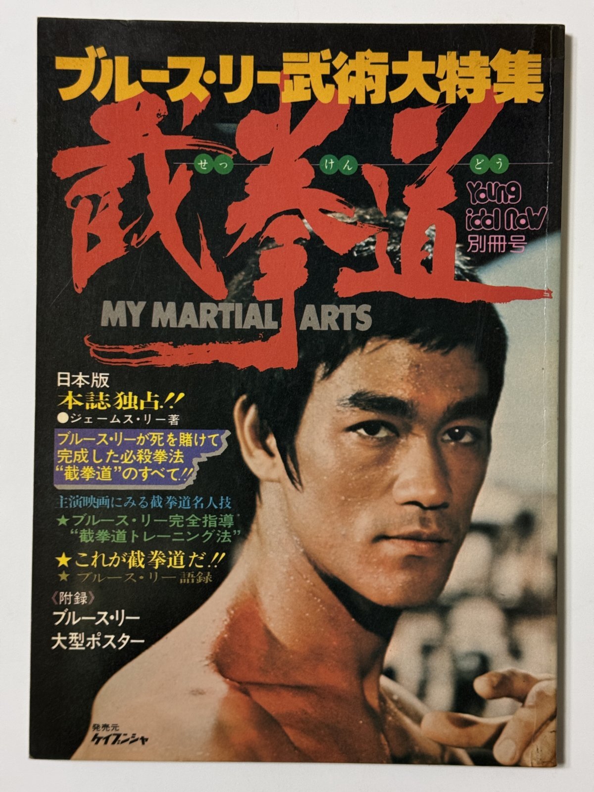 1点モノ】ブルース・リー武術大特集 截拳道（国内本）｜ブルース・リー