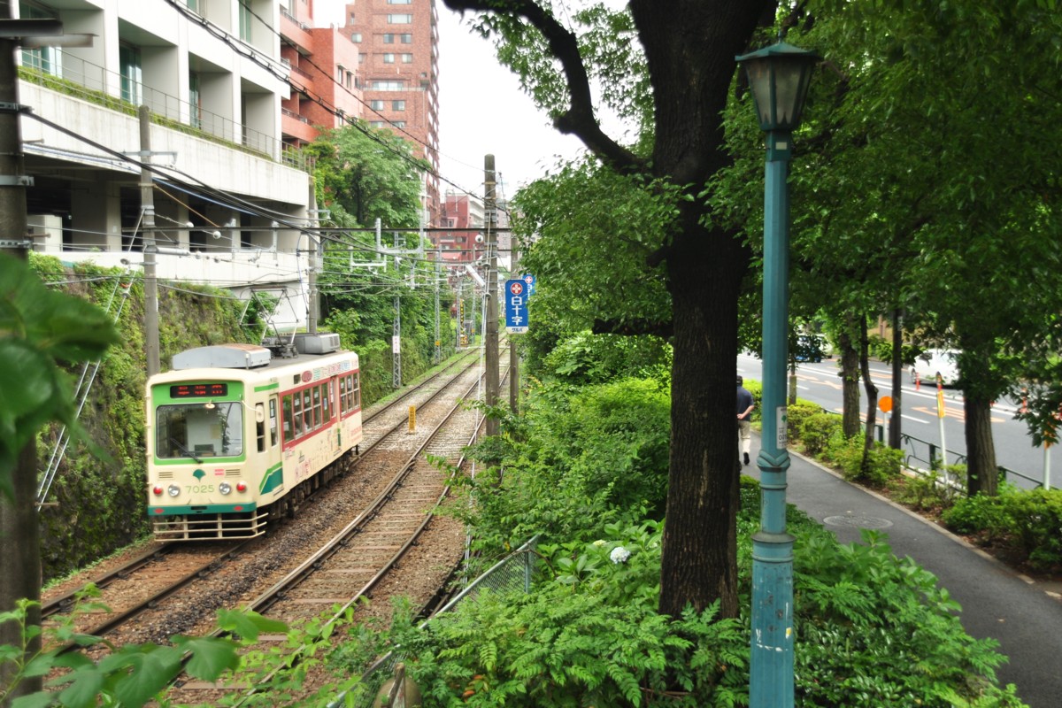 しっとり荒川線 | 鉄道写真