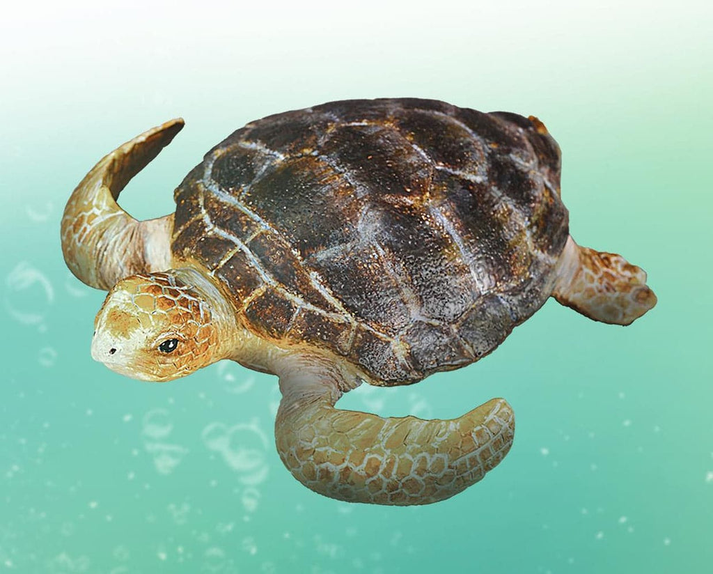 loggerhead-turtle-model-breyer