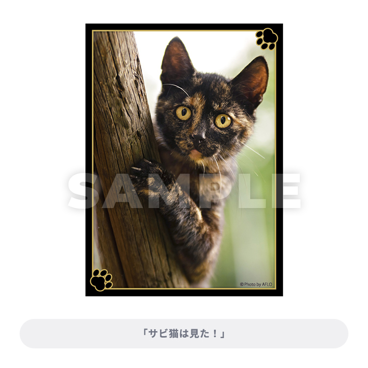 ブロッコリートレカアイテムくじEX「猫これくしょん」｜ブロッコリー