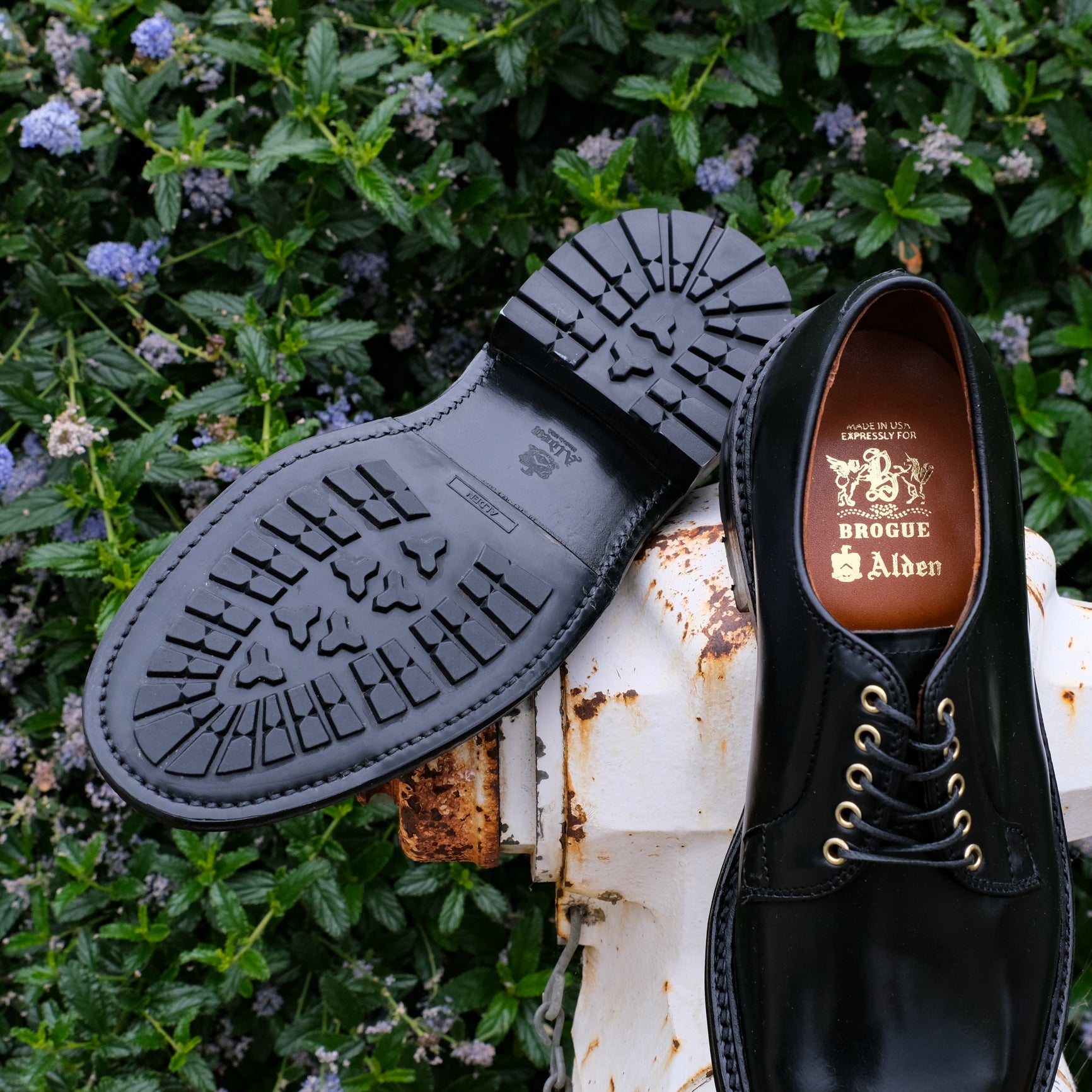 Alden x Brogue Knott Plain Toe Blucher – BROGUE