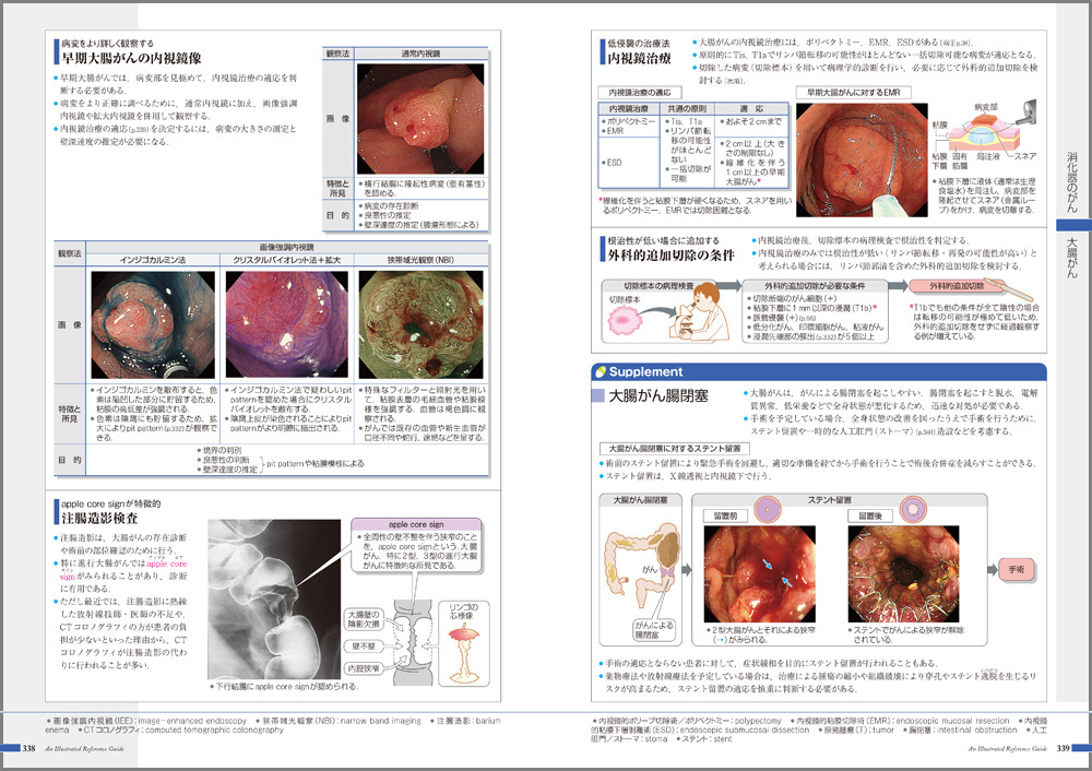 病気がみえる - チーム医療を担う医療人共通のテキスト