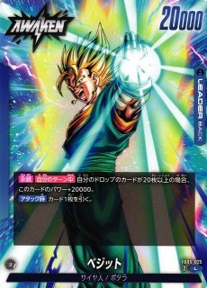 DBFW】ベジット【L☆】FB05-025 - C-labo OnlineShop