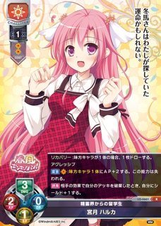 LO】現代に生きる忍者 常陸 茉子(サイン)【SP】LO-4865-SLycee