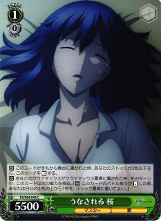 WS】“presage flower”桜(サイン)【SP】FS/S64-023SPヴァイス