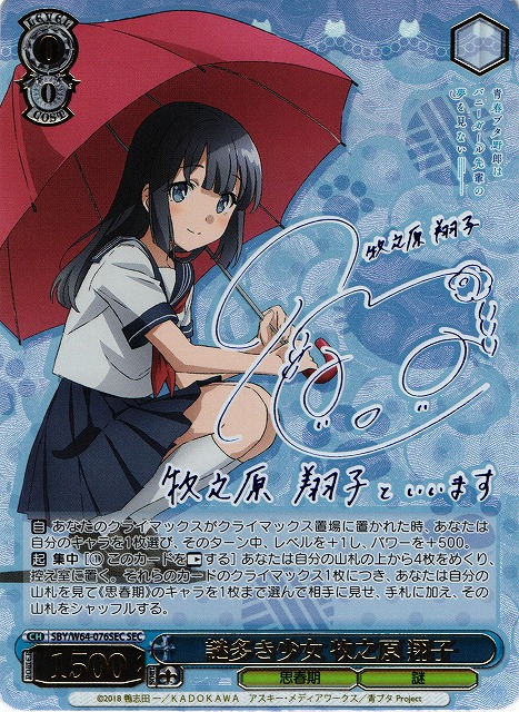 PSA10 謎多き少女 牧之原翔子 sec 謎多き少女 牧之原翔子 sec PSA10