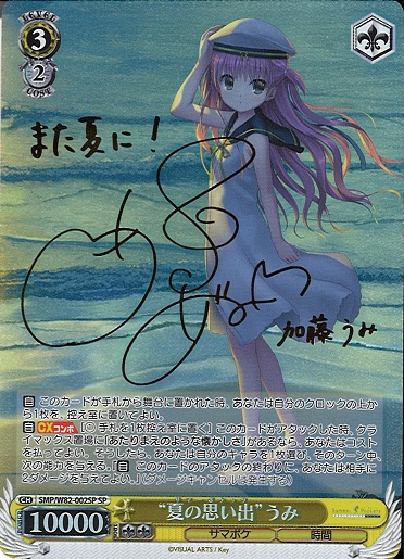 ヴァイスシュヴァルツ サマポケ サマードレス紬 sp ブルーサイン