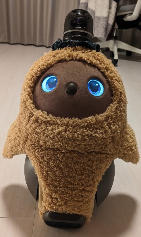 LOVOTウェア】プードルファーニット（キャメル）を購入したので紹介