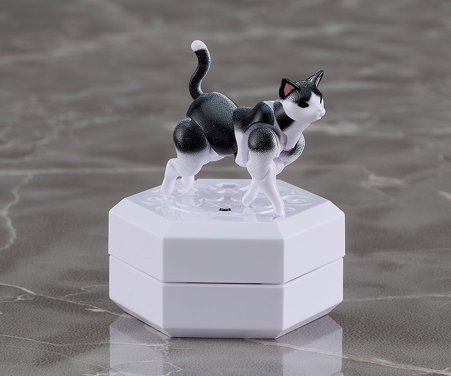 chitocerium nightmare XXII-tanio schrödinger box｜グッドスマイル