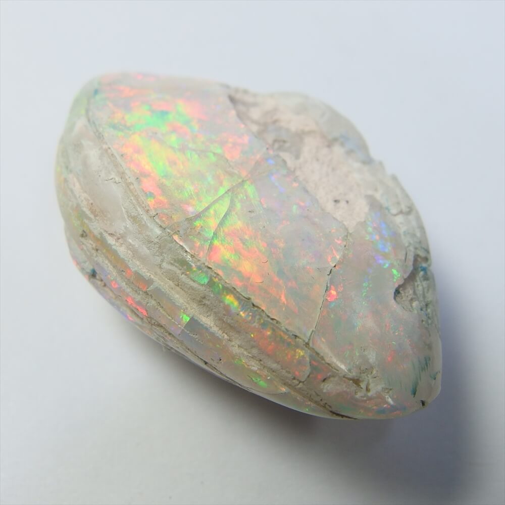 シェルオパール WT090