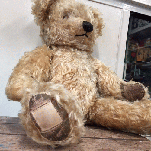 1950's チャドバレー テディベア｜「GENIO ANTICA（ジェニオアンティカ