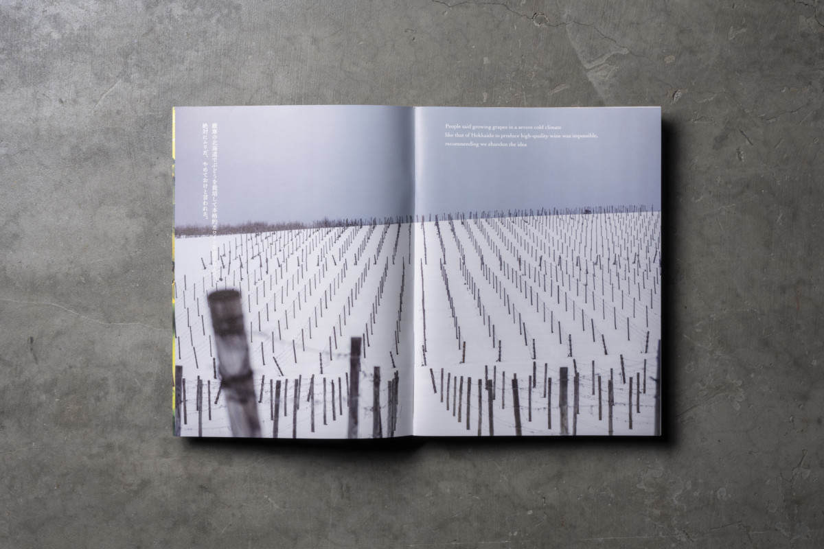 The Soul of Viniculture / HOKKAIDO WINE｜WORK｜GAZE fotographica