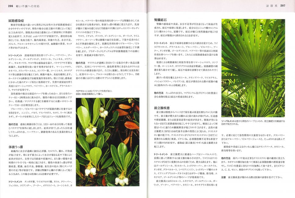 書籍『プロフェッショナル ハーブ療法』 | ガイアブックス（Gaiabooks）