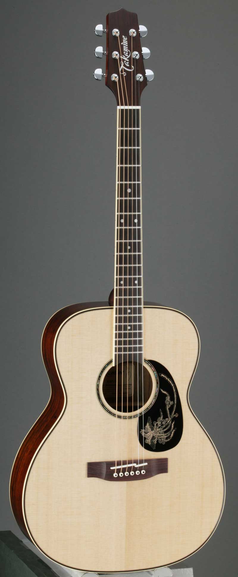 タカミネギター～Takamine Guitars～【ガッキコム】