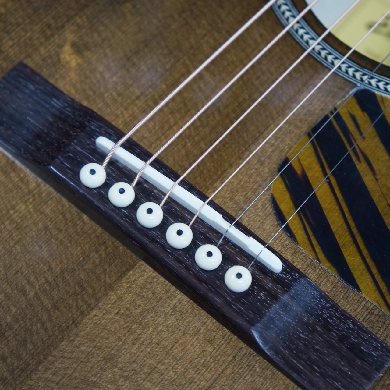 EASTMAN E3-00SS-CLA / 楽器屋BOW オンラインストア