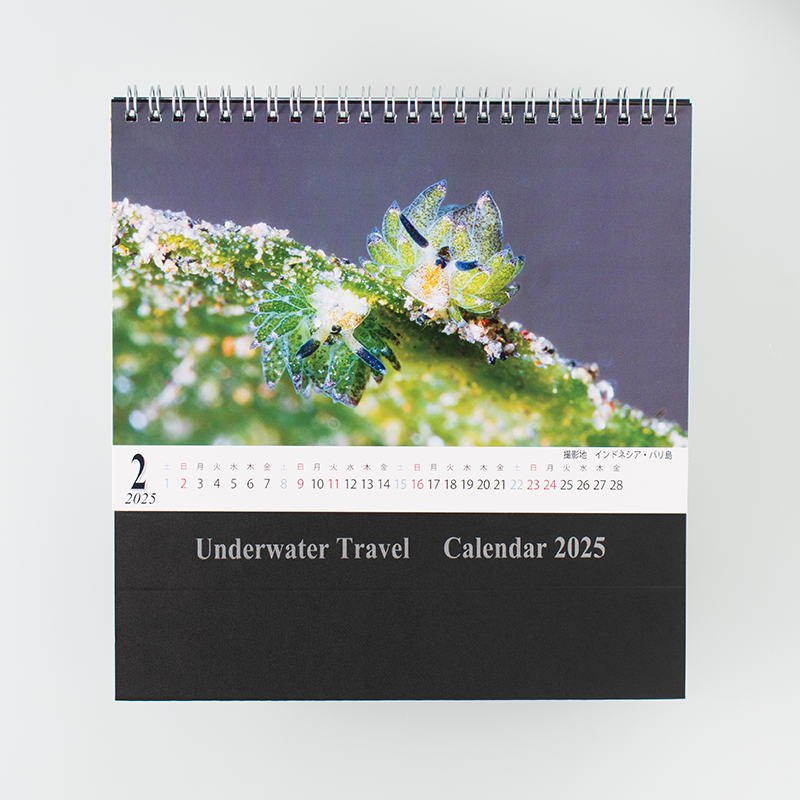 卓上カレンダー（リング製本／A5サイズ／月めくりタイプ）｜一関