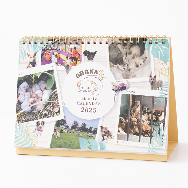 卓上カレンダー（リング製本／A5サイズ／週めくりタイプ）｜わんにゃん