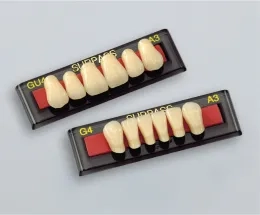 Artificial teeth (hard resin teeth) | 株式会社ジーシー