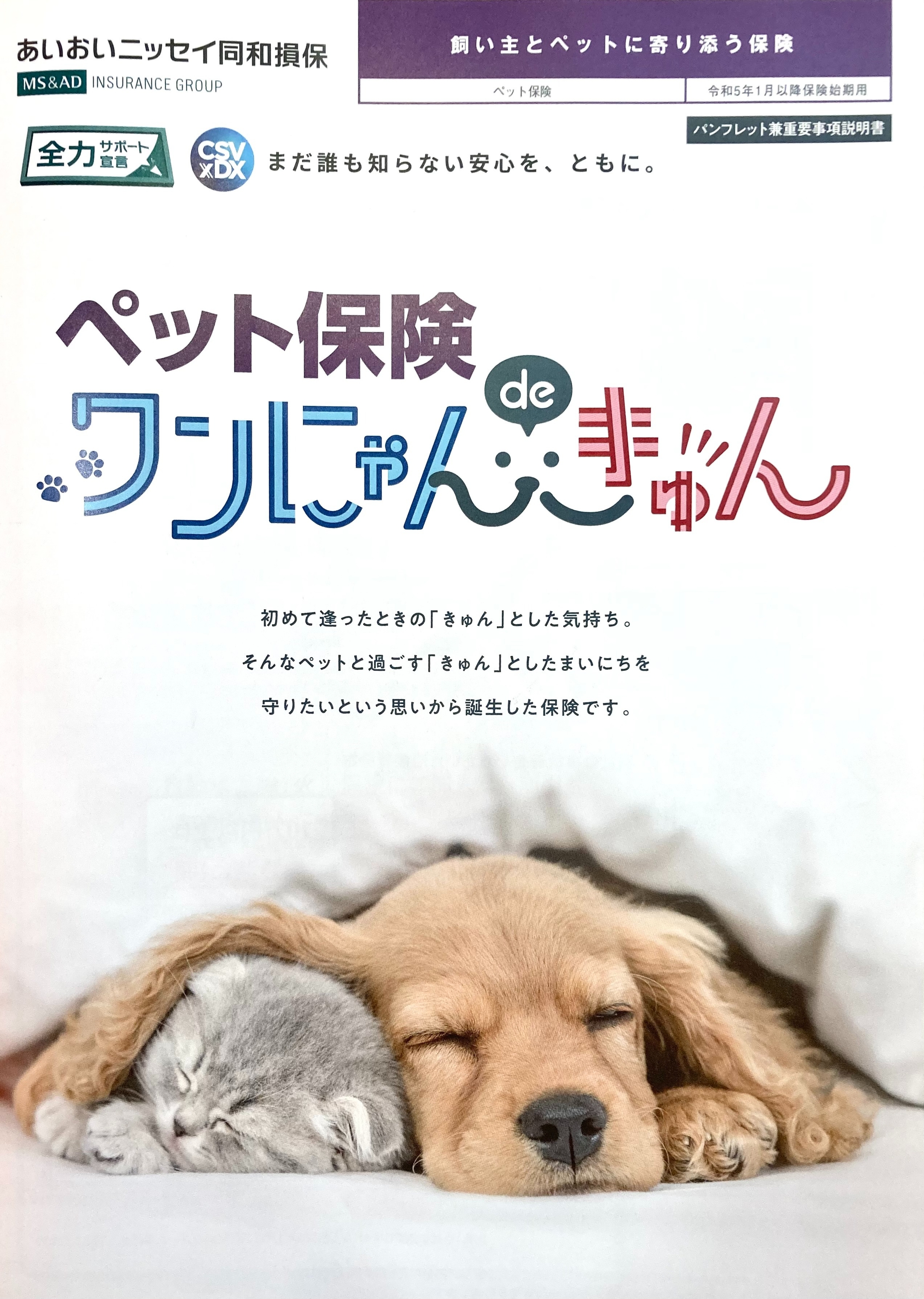 ワンちゃん ニャンちゃん のおはなし 高山店