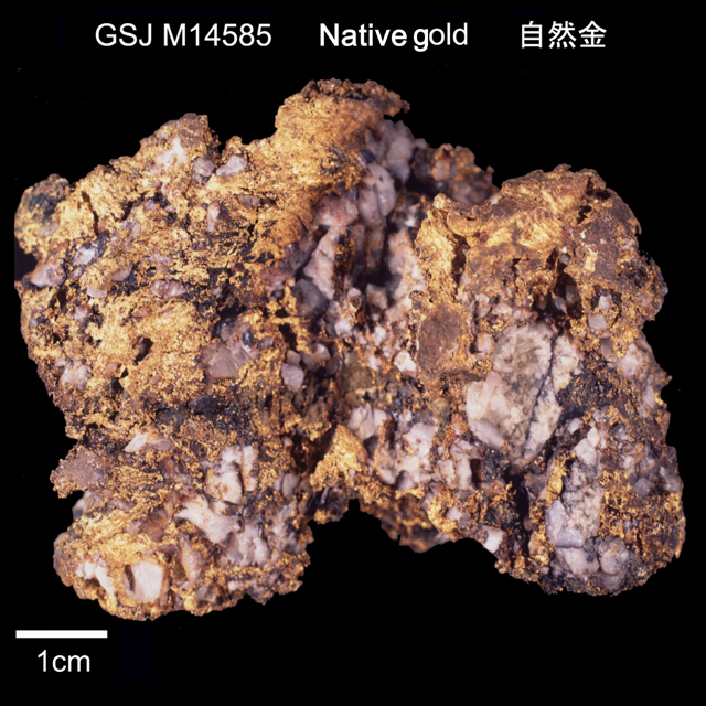 鉱物標本 / 自然金 | 地質標本鑑賞会