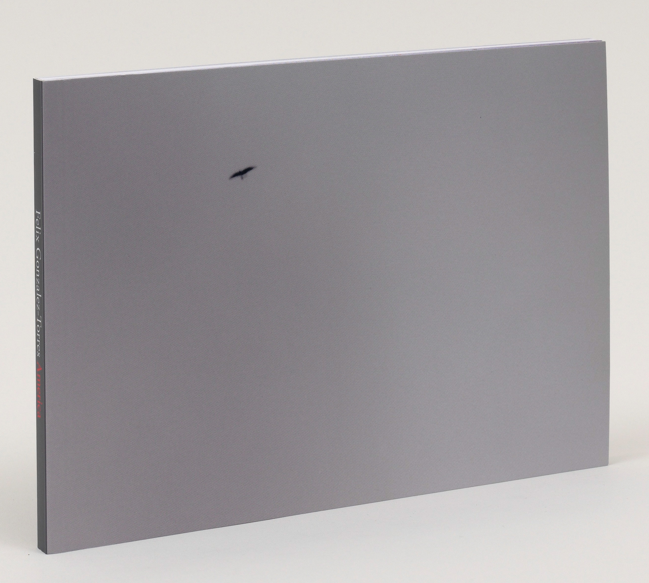 Felix Gonzalez-Torres: America | The Guggenheim Museums and Foundation