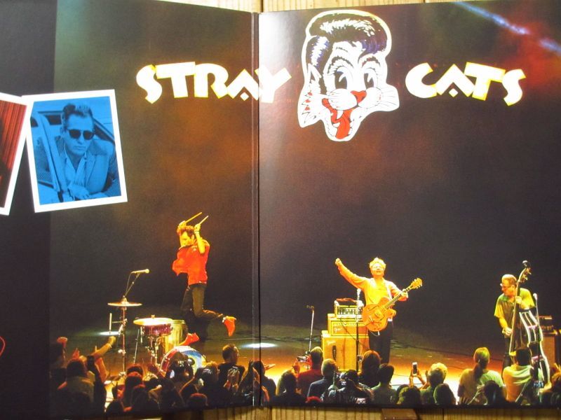 Stray Cats / 40 - Guitar Records